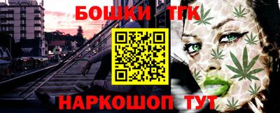 индика Новозыбков