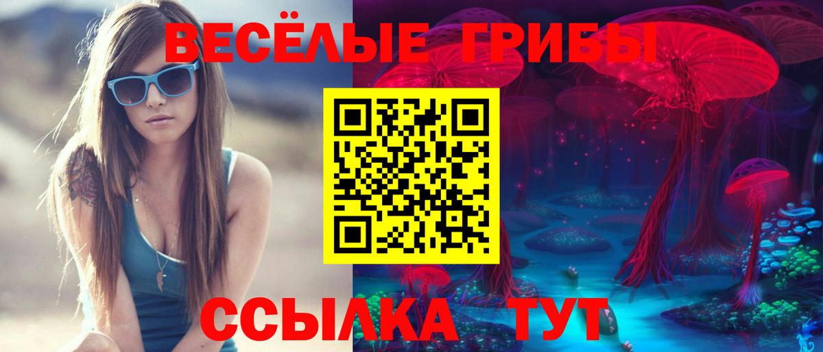 Свободный  Псилоцибиновые грибы Psilocybine cubensis  Вход с VPN 